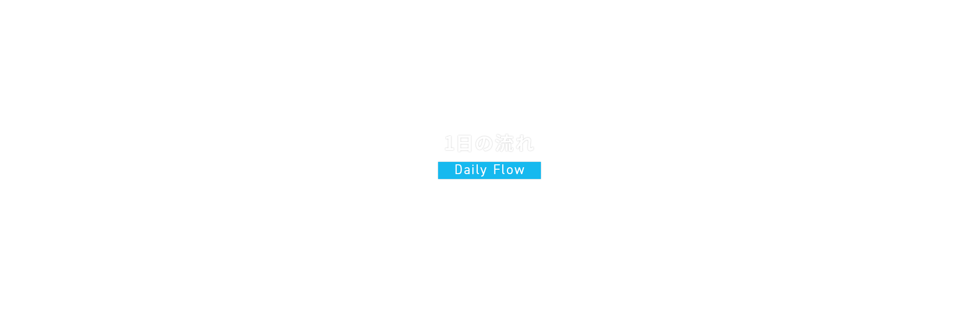 1日の流れ